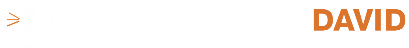 Logo Autospuiterij-David